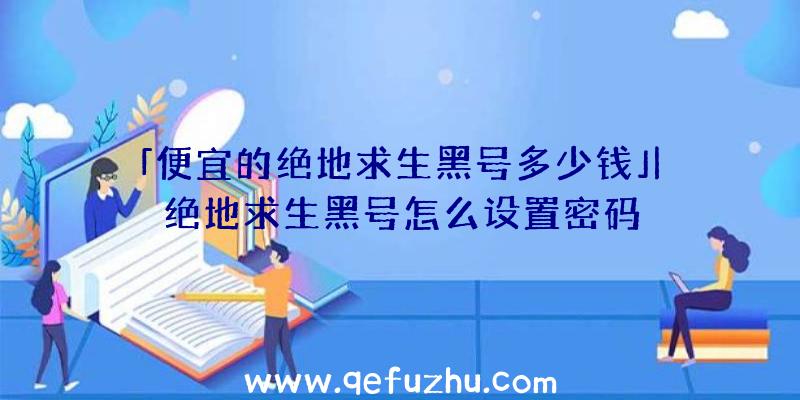 「便宜的绝地求生黑号多少钱」|绝地求生黑号怎么设置密码